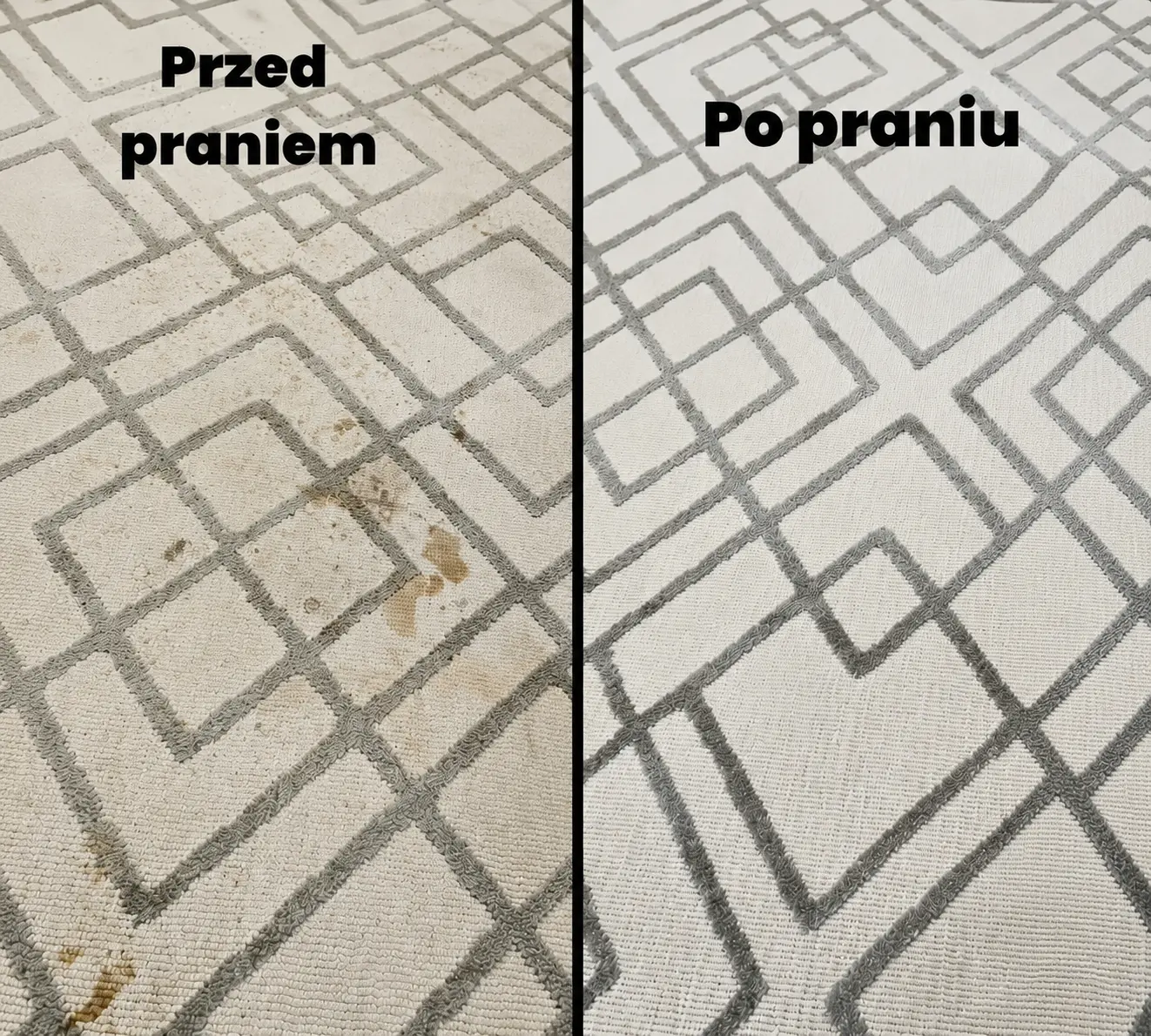Usuwanie sierści zwierząt — Pralnia Dywanów Alladyn, odbiór i dowóz gratis